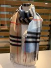 Burberry Scarves 109