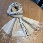 Burberry Scarves 156