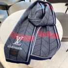 Louis Vuitton Scarves 17