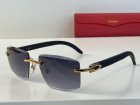 Cartier High Quality Sunglasses 1343