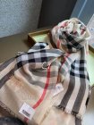 Burberry Scarves 312