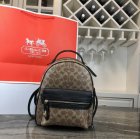Coach High Quality Handbags 132
