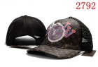 Louis Vuitton Normal Quality Hats 03