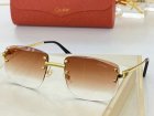 Cartier High Quality Sunglasses 1165