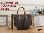 Louis Vuitton Normal Quality Handbags 1027