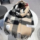 Burberry Scarves 134