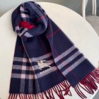 Burberry Scarves 28