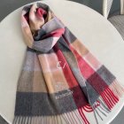 Burberry Scarves 32