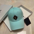 Louis Vuitton High Quality Hats 256