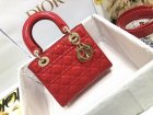 DIOR Original Quality Handbags 1029