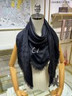 Louis Vuitton Scarves 176