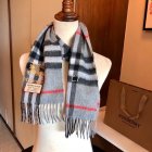 Burberry Scarves 17