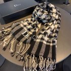 DIOR Scarves 57