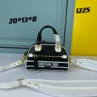 DIOR High Quality Handbags 667