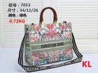 DIOR Normal Quality Handbags 176
