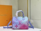 Louis Vuitton High Quality Handbags 1694