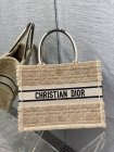 DIOR High Quality Handbags 484