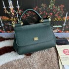 Dolce & Gabbana High Quality Handbags 217