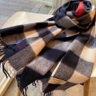 Burberry Scarves 225