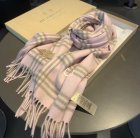 Burberry Scarves 366