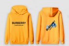 Burberry Men's Hoodies 119