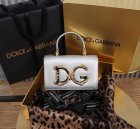 Dolce & Gabbana High Quality Handbags 16