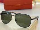 Cartier High Quality Sunglasses 1244