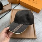 Louis Vuitton High Quality Hats 227