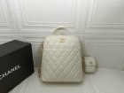 Chanel High Quality Handbags 1147