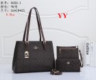 Coach Normal Quality Handbags 149