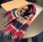 Burberry Scarves 185