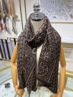 DIOR Scarves 53