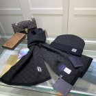 Louis Vuitton Hat & Scarve Set 24