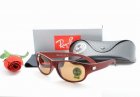 Ray-Ban Normal Quality Sunglasses 109