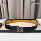 Loewe Belts 79