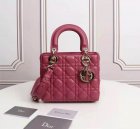 DIOR Original Quality Handbags 955