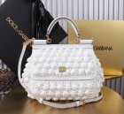 Dolce & Gabbana High Quality Handbags 492