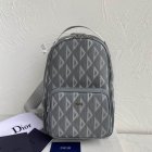 DIOR High Quality Handbags 107