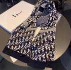 DIOR Scarves 10