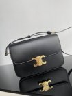 CELINE Original Quality Handbags 300