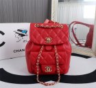 Chanel High Quality Handbags 1318