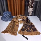 Louis Vuitton Scarves 305