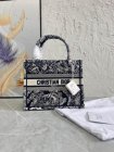 DIOR High Quality Handbags 632