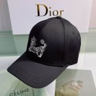 DIOR Hats 61