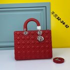 DIOR High Quality Handbags 529