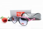 Ray-Ban Normal Quality Sunglasses 104