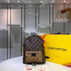 Louis Vuitton Backpack 53