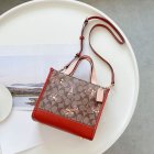 Coach High Quality Handbags 553