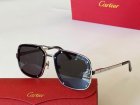 Cartier High Quality Sunglasses 170