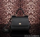 Dolce & Gabbana Original Quality Handbags 370